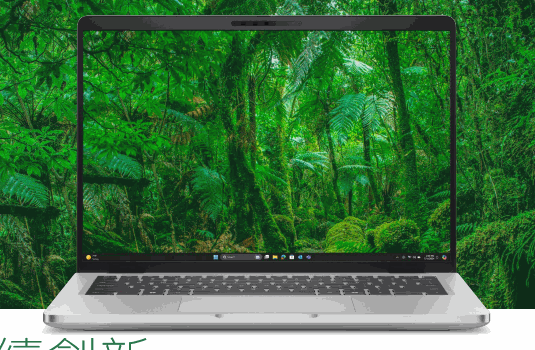 DELL Pro 筆記型電腦